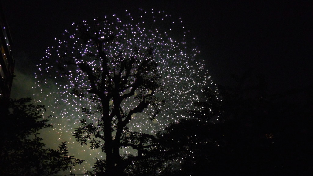 花びら舞い散る・・・